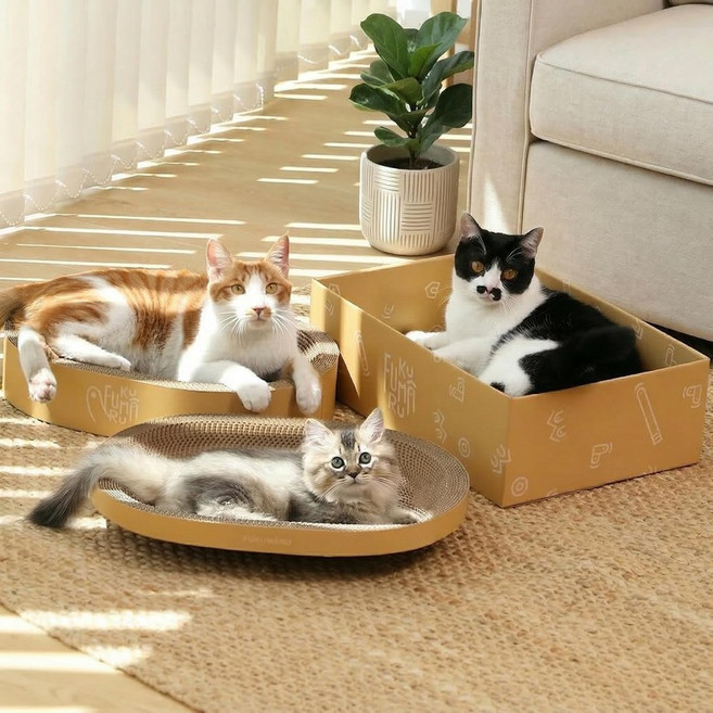후쿠마루 3PCS 골판지 고양이 긁힘 침대 내구성이 뛰어난 타원형 고양이 긁힘 침대 패드 실내 고양이를 위한 대형 고양이 긁힘 상자가 있는 둥근 고양이 긁힘 보드 소파 가구, 4PCS Scratching Beds