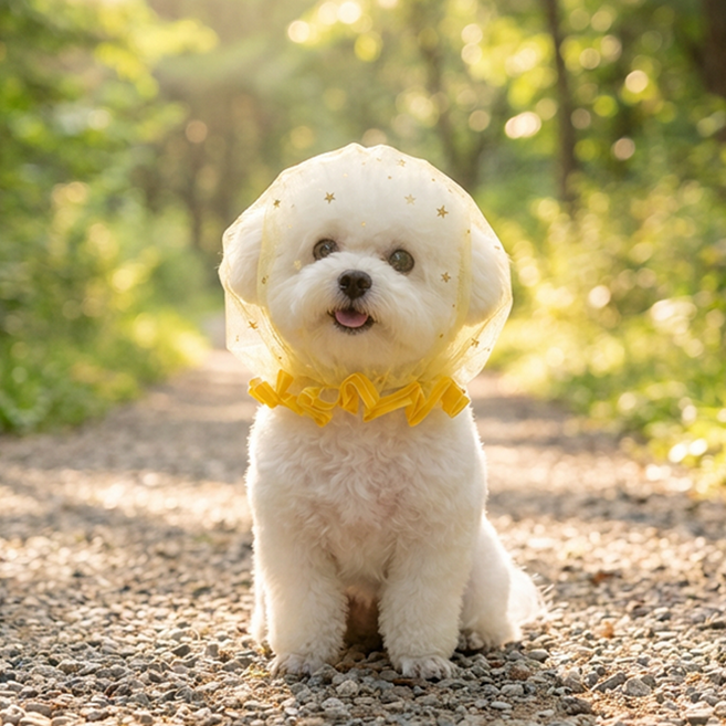 코이세상 강아지 페이스커버 산책망, 옐로우(2~5kg), 1개