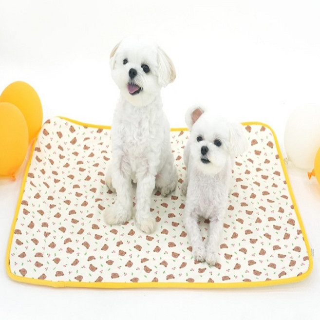 반려견 매쉬 쿨매트 M 체리베어 애견쿨매트 강아지여름쿠션 강아지쿨패드