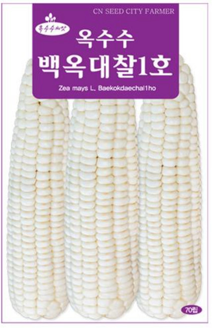세인화분 백옥대찰1호 옥수수 70립 - 씨 씨앗 찰옥수수, 1개