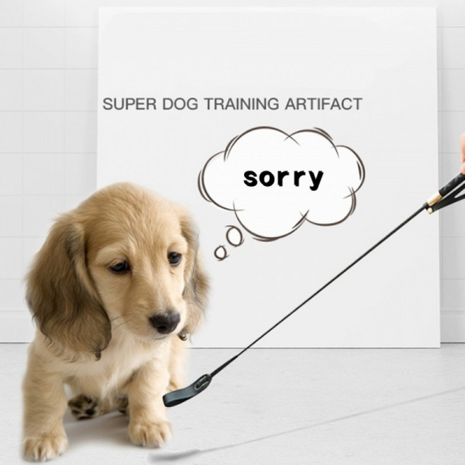 애완 용품 애견 훈련 회초리, 1개, 상세페이지 참조