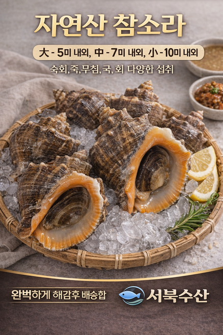 [국내산] 자연산 생물 참소라 중대 2kg [ kg - 7미 내외 ] 서북수산, 1개