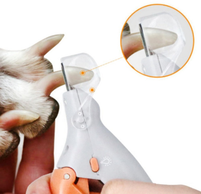 혈관확인 상처방지 발톱깎이 강아지 엘이디 라이트 고양이 소형견 미용가위, 1개, 1jsb LED반려동물발톱깎기