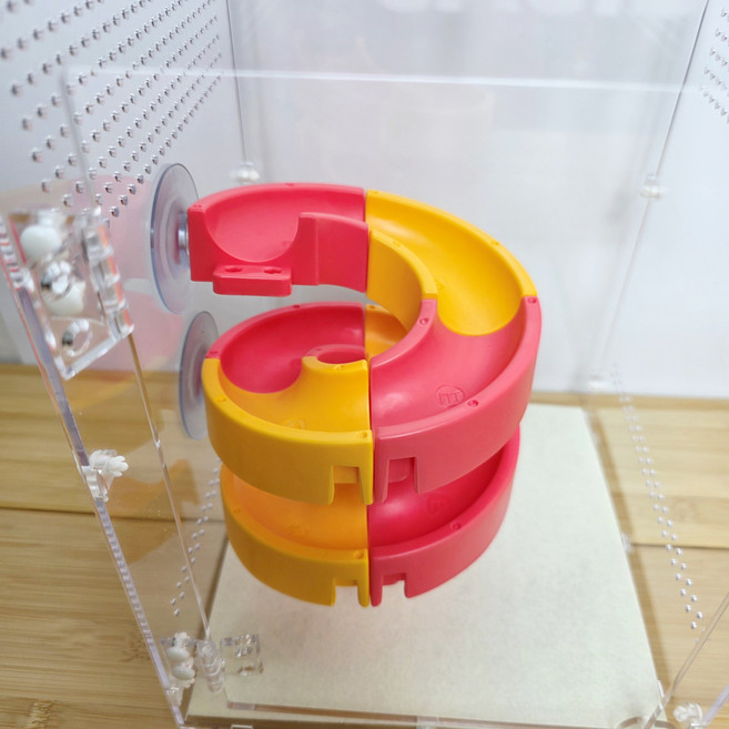 크레 도마뱀 백업, 1개, 레드옐로우