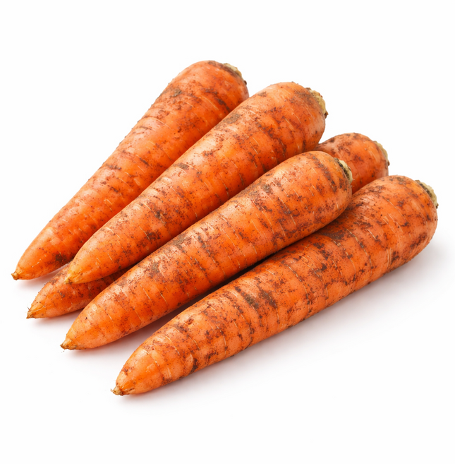 [한끼 채소] 국내산 당근 (중-15cm 이하) 도매유통 1개, 1박스, 10kg