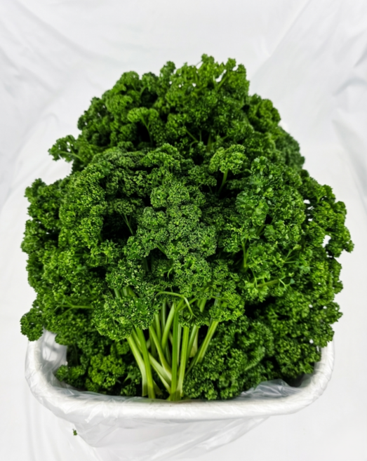 야채왕 생파슬리1kg, 1개, 1kg