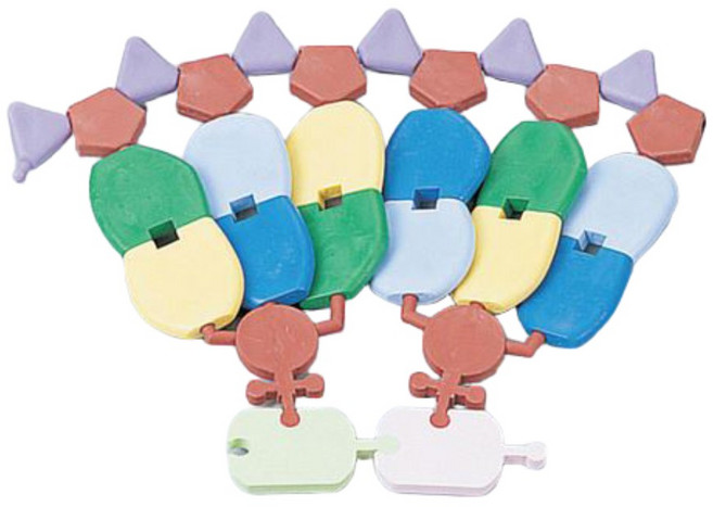 생명과학 단백질 유전자정보 DNA 단백질합성 모형키트 세포핵 혈액형, 1개, 상세페이지참조