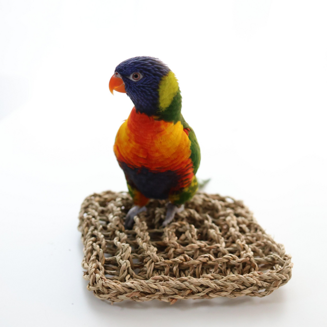 해초 매트 앵무새 해먹 놀이터 그네 장난감 새용품 횃대 평상, 1개