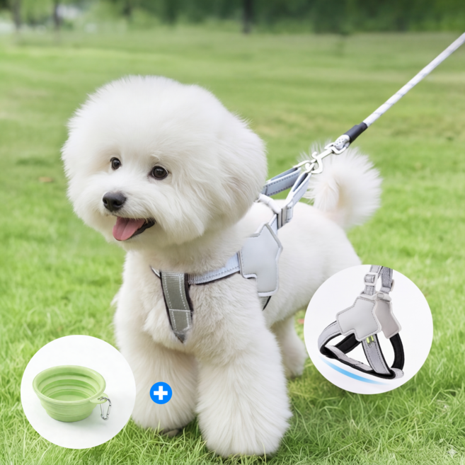 강아지 리드줄 강아지 하네스 Y자형 견인줄, 1개, 블랙