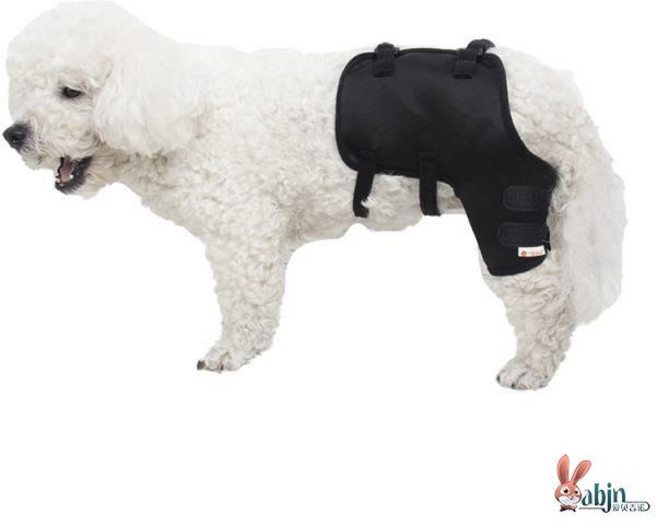 LongFatoys 강아지 슬개골탈구 고관절탈구 십자인대 관절 슬개골보정 밴드 깁스 강이지슬개골보호대, 1개, 왼쪽 뒷다리