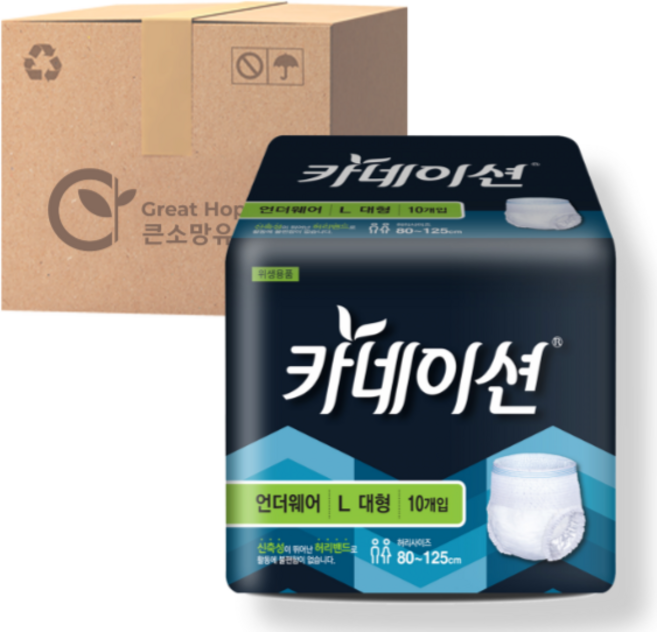 카네이션 남여공용 성인기저귀 언더웨어 L, 대형, 10매, 8개