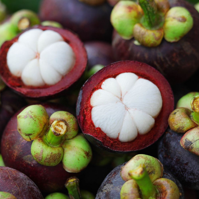 [신선급속냉동] 태국 냉동과일 망고스틴, 1개, 급속 냉동 5kg