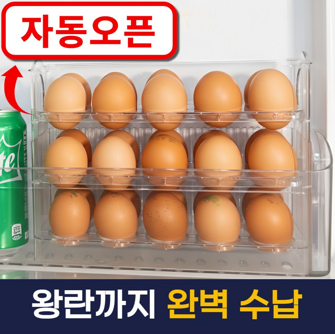 벨로튼 자동으로 열리는 계란트레이 30구, 1개, 투명