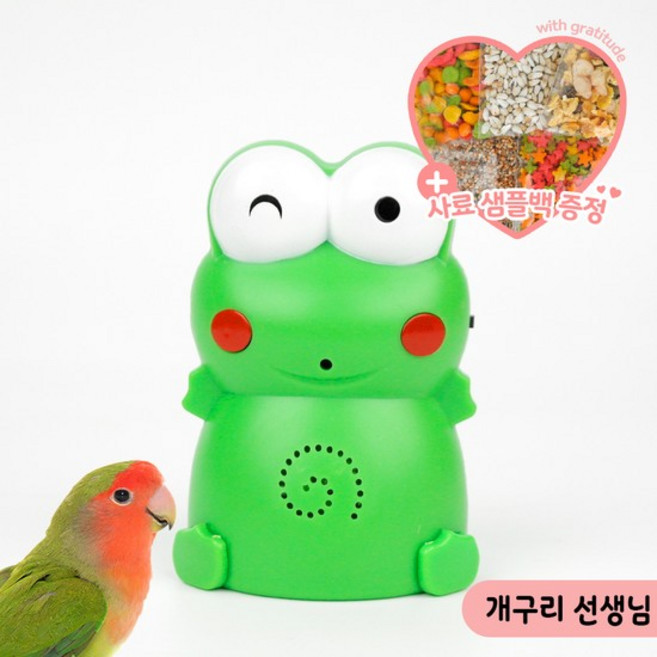 개구리선생님 앵무새 장난감 언어 훈련 녹음기 스피치, 없음