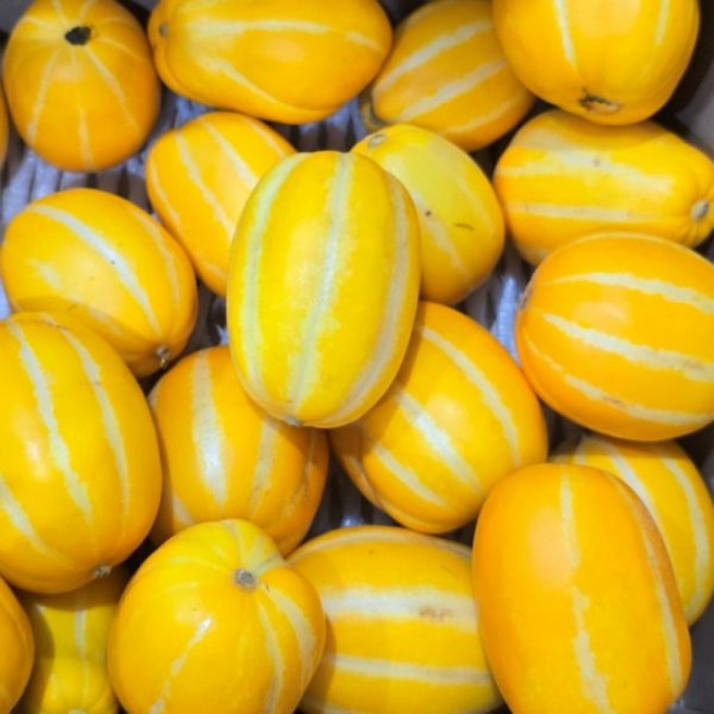 성주 참외 못난이 5kg, 1개, 상세페이지 참조