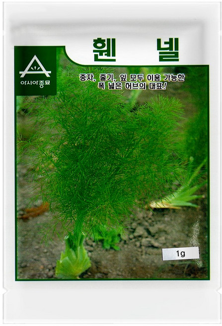 아시아종묘 허브 씨앗 종자 펜넬(휀넬) 1g, 1개