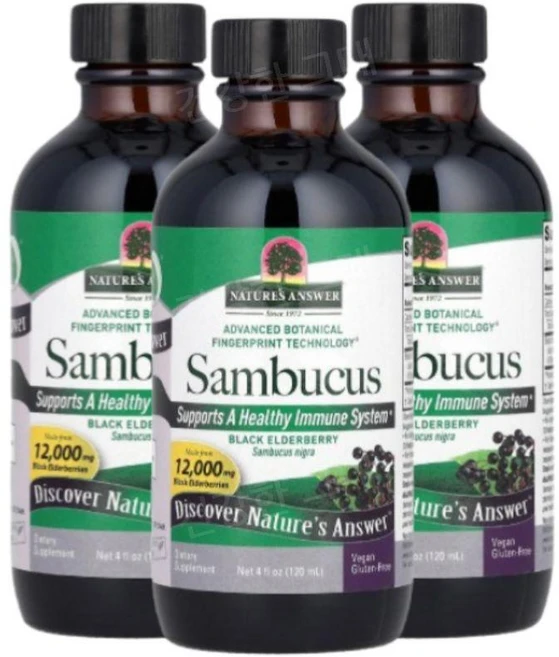 네이처스앤서 삼부커스 엘더베리 액체 액상 12000mg 120ml 3개 Sambucus - 쿠팡