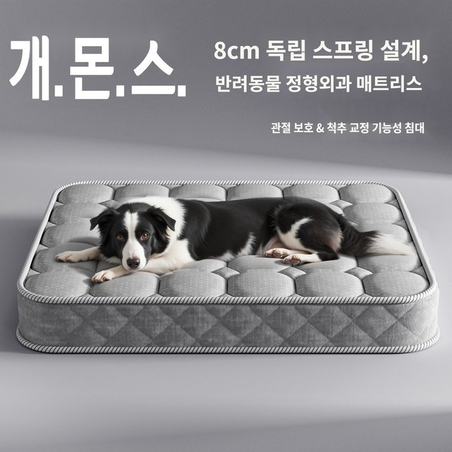 흔들림 없는 8cm 독립스프링! 강아지 매트리스 침대 (관절보호/메모리폼/노령견 방석) 개몬스, M-70x55x10cm
