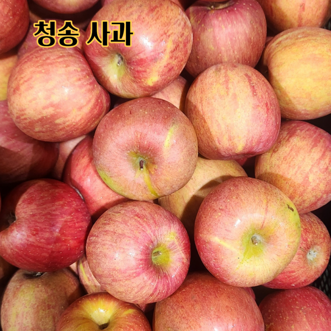 사과 당도선별 청송사과 고산지 부사사과, 1박스, 5kg (가정용)