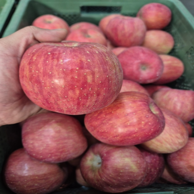 [해품농장] 과즙팡팡 경북 청송 꿀사과, 1개, 5kg (소과)