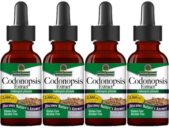 네이처스앤서 고흡수 더덕 추출물 2000mg 액상 액체, 4팩, 30ml - 쿠팡