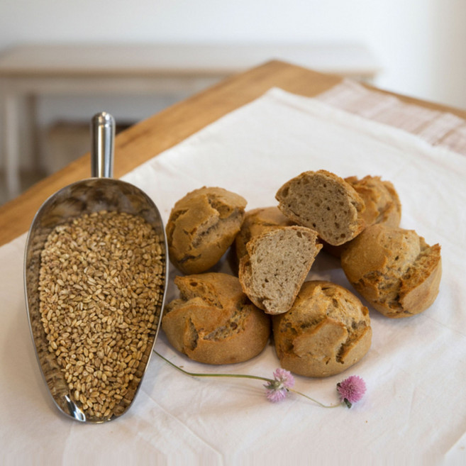 100% 국산밀 통밀빵 황금똥빵(90g x 10개) 매일 굽는 신선한 빵 모닝빵 무설탕 무첨가 당뇨식이요법빵 다이어트 식단, 900g, 10개
