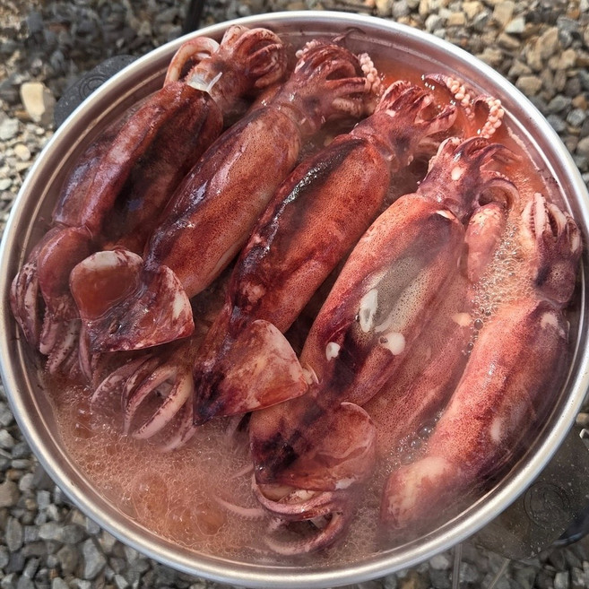 [산지직송] 동해안 통찜오징어 1kg 10미(급냉) (고소한 내장 통찜용 중사이즈), 1박스, 오징어 2kg (12~20미)