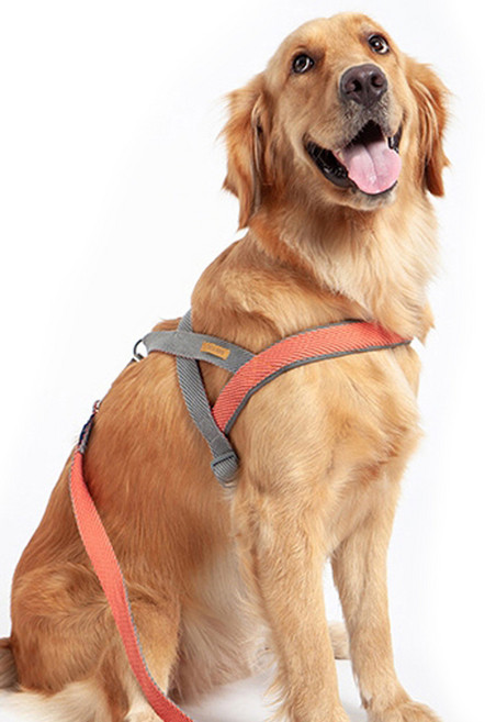 옥희독희 앞섬방지 강아지 하네스 + 리드줄, 오렌지, 1개