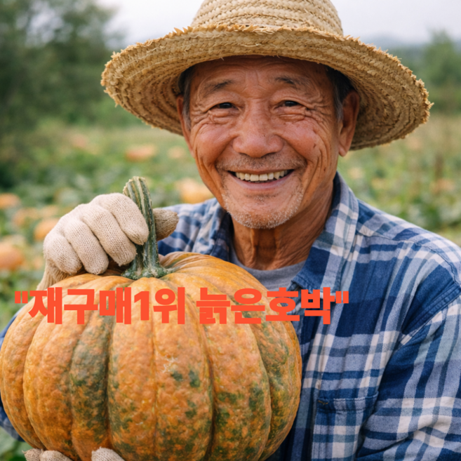 재구매1위 늙은호박 프리미엄 특품, 1박스, 1kg