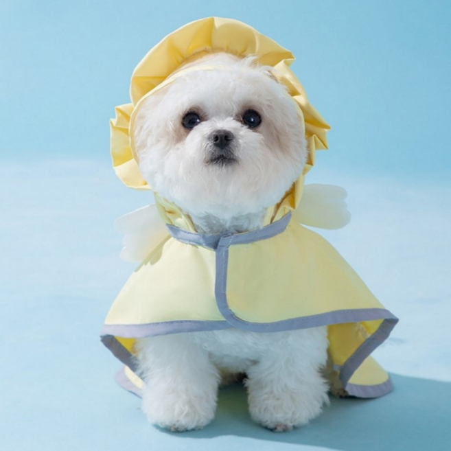 바우앤코 강아지우비 비옷 판초 망토 소형견 중형견, 1개, 옐로우