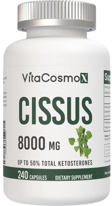 비타코스모엑스 시서스 8000mg Cissus 캡슐 240정