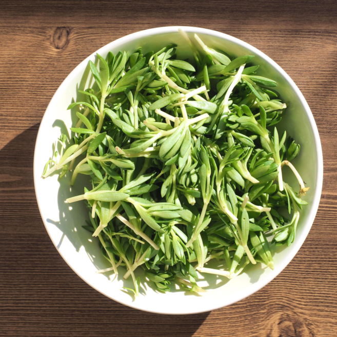 [노지재배] 국내산 돌나물 돗나물 특품, 1개, 1kg