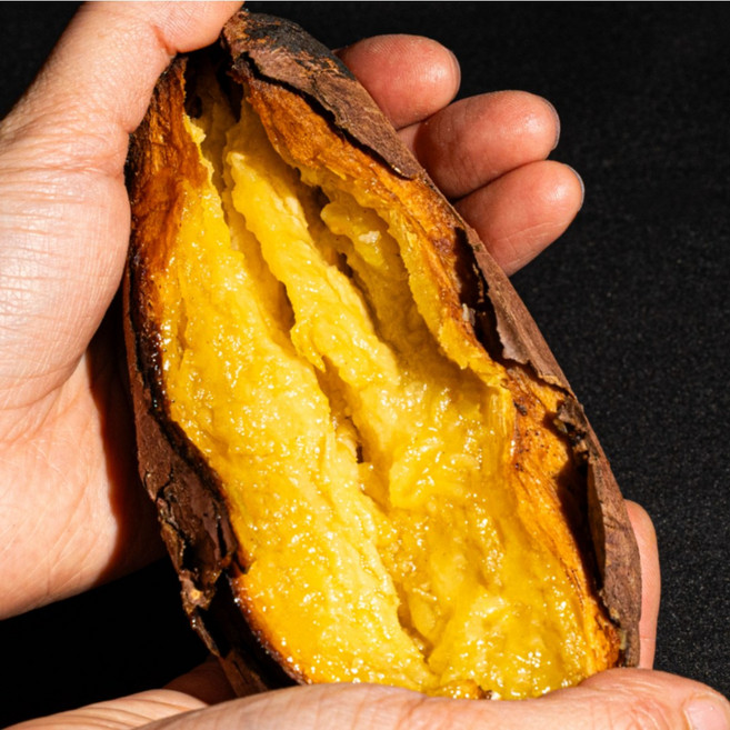 더좋은 해남 꿀밤고구마 꿀고구마, 1개, 5kg(대왕)