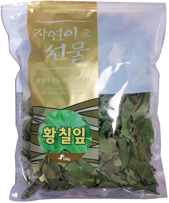 (청정제주) 황칠나무 잎(100g)_ 차로 즐기고 육수로 풍미UP(삼계탕 수육 갈비탕) 프리미엄 건강원료, 100g, 1개