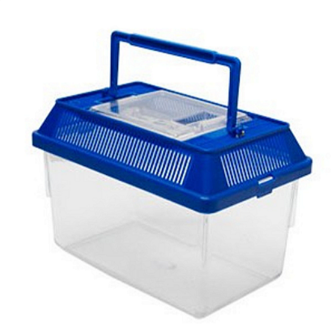 밀웜나라 채집통 대, 1개