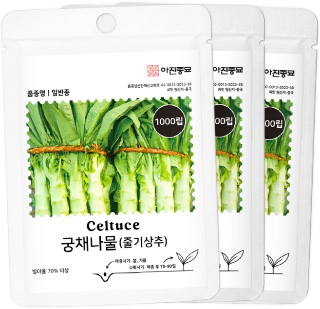 궁채나물 씨앗 1000립 3봉세트 줄기상추 뚱채 종자 씨 봄 가을 파종 작물 궁채, 3개