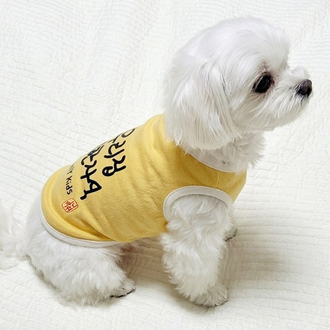 도기코디 귀한자식 나시 강아지 여름옷, 옐로우, 1개