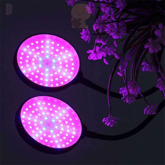 호두상점 원형 LED 식물등 2헤드 블루 레드 식물성장LED