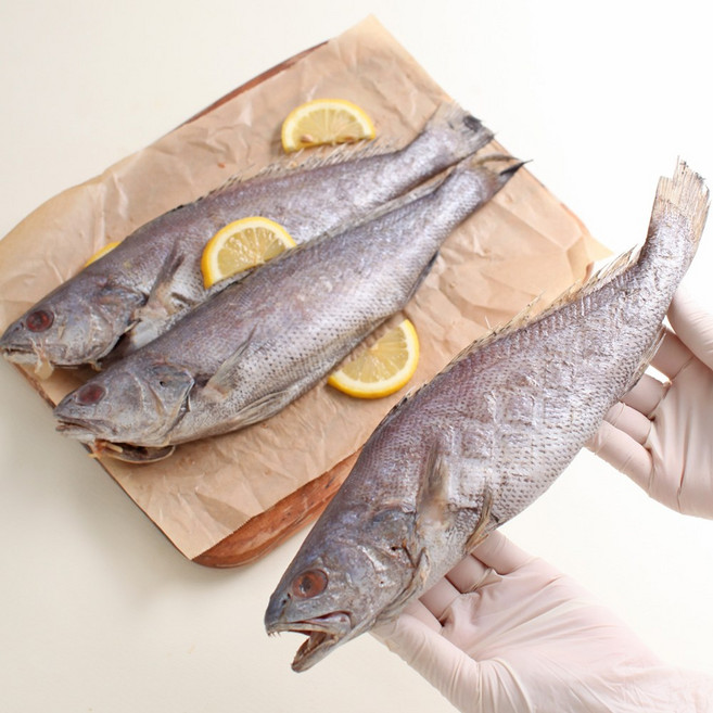 국내산 반건조 민어 여수수협 위판 국산 민어 생선구이 제수용, 5개, 300g