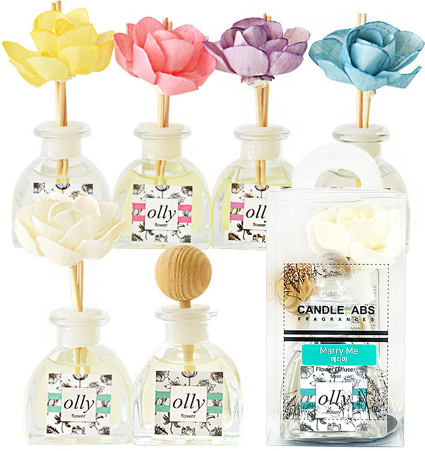 캔들랩스 올리 프리미엄 오일 디퓨저 차량용 50ml (1병), 러브미, 1개