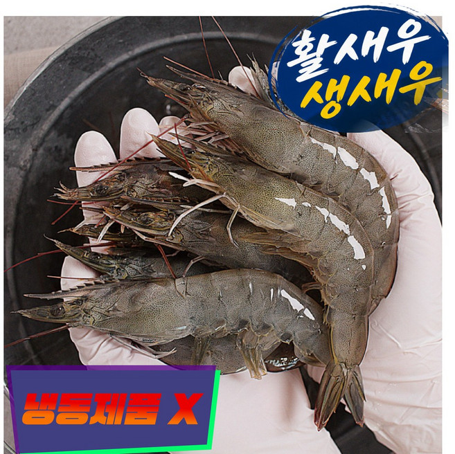 국내산 활새우 제철 생물 흰다리새우, 1개, 흰다리새우 1kg (40미내외)