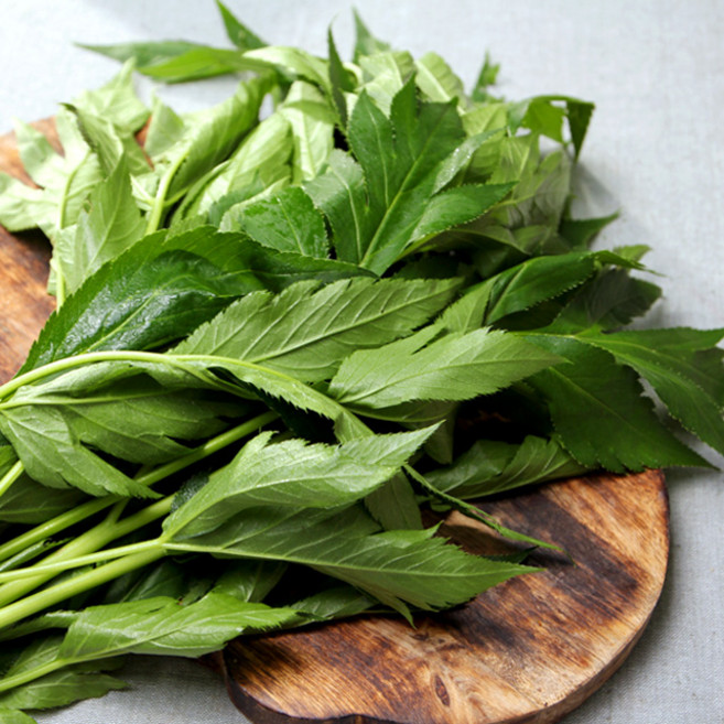 유기농 녹즙용 케일 비트 신선초 샐러리 당근 밀싹 보리싹, 1개, 유기농 신선초(즙용) 1kg