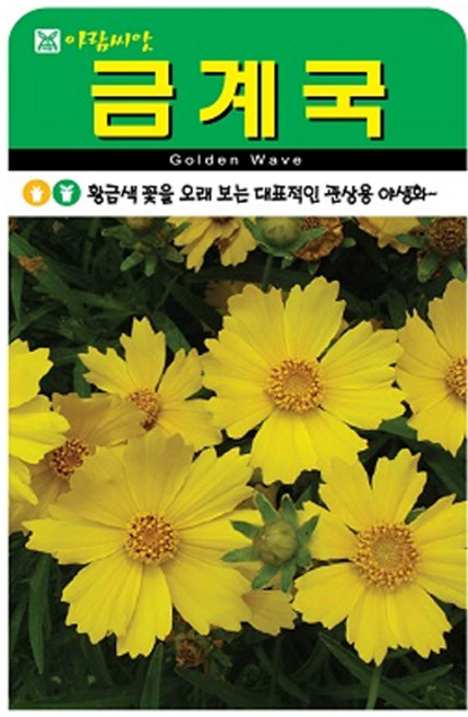 아람종묘 금계국 꽃 씨앗 500p, 1개