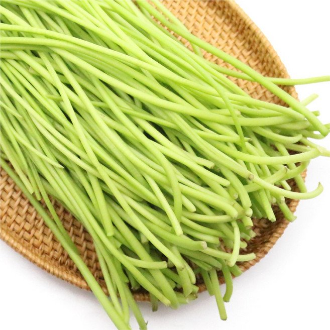 국내산 생 고구마순 200g 400g 1kg 고구마줄기, 1개