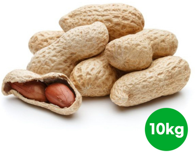 햇피땅콩 10kg벌크정월대보름 부럼, 벌크 피땅콩 10kg, 1개