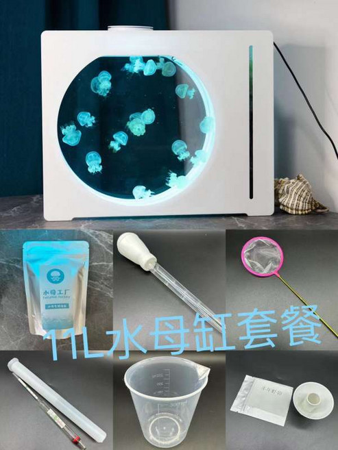 해파리 키우기 어항 자동순환 투명 물멍 수족관 수조, 해파리 수조 세트, 1개