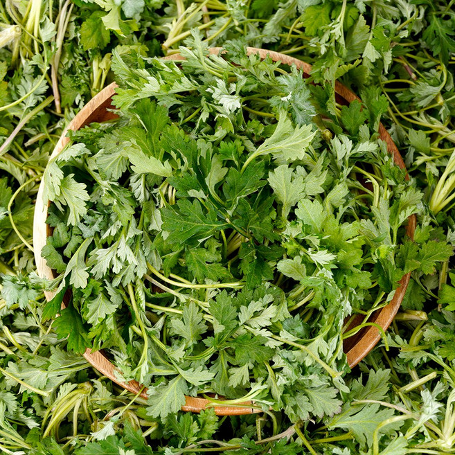 프레시 봄 제철 국내산 해풍 쑥 생쑥, 1개, 1kg