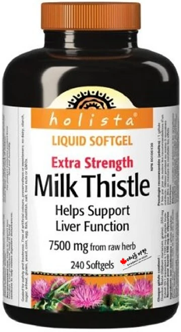 캐나다 홀리스타 밀크씨슬 실리마린 천연 민들레 심황 함유 초강력 7500mg 240정+정품인증서, 1개, 7500mg 240정, 240정 - 쿠팡