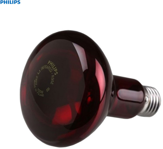 PHILIPS 적외선 램프 열램프 전구 찜질기 재활램프 열전구 찜질램프 한의원 적외선라이트 찜질팩 물리치료 100W 한방병원 적외선전구 관공, 1개