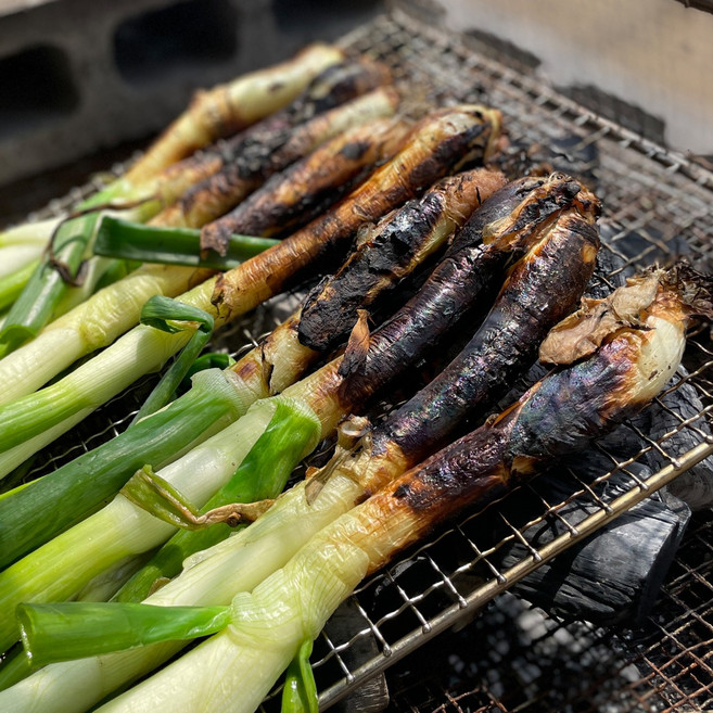 [산지직송] 함양파 칼솟 타다 부드럽고 달콤한 줄기 양파, 1개, 함양파 1Kg